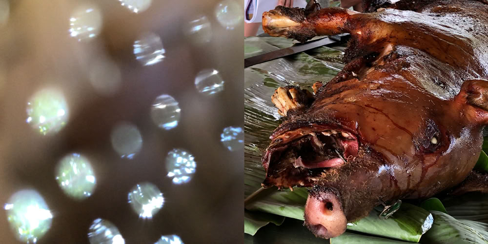 Papa Takata: Stealin Your Time (album)