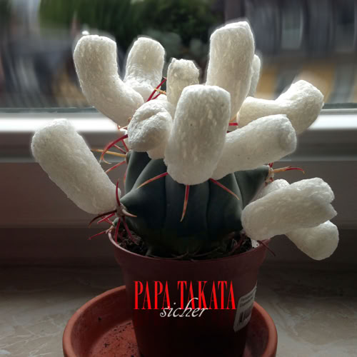 Papa Takata: Stealin Your Time (album)